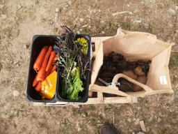 Image of Medium Veg Bag (subsidised price)