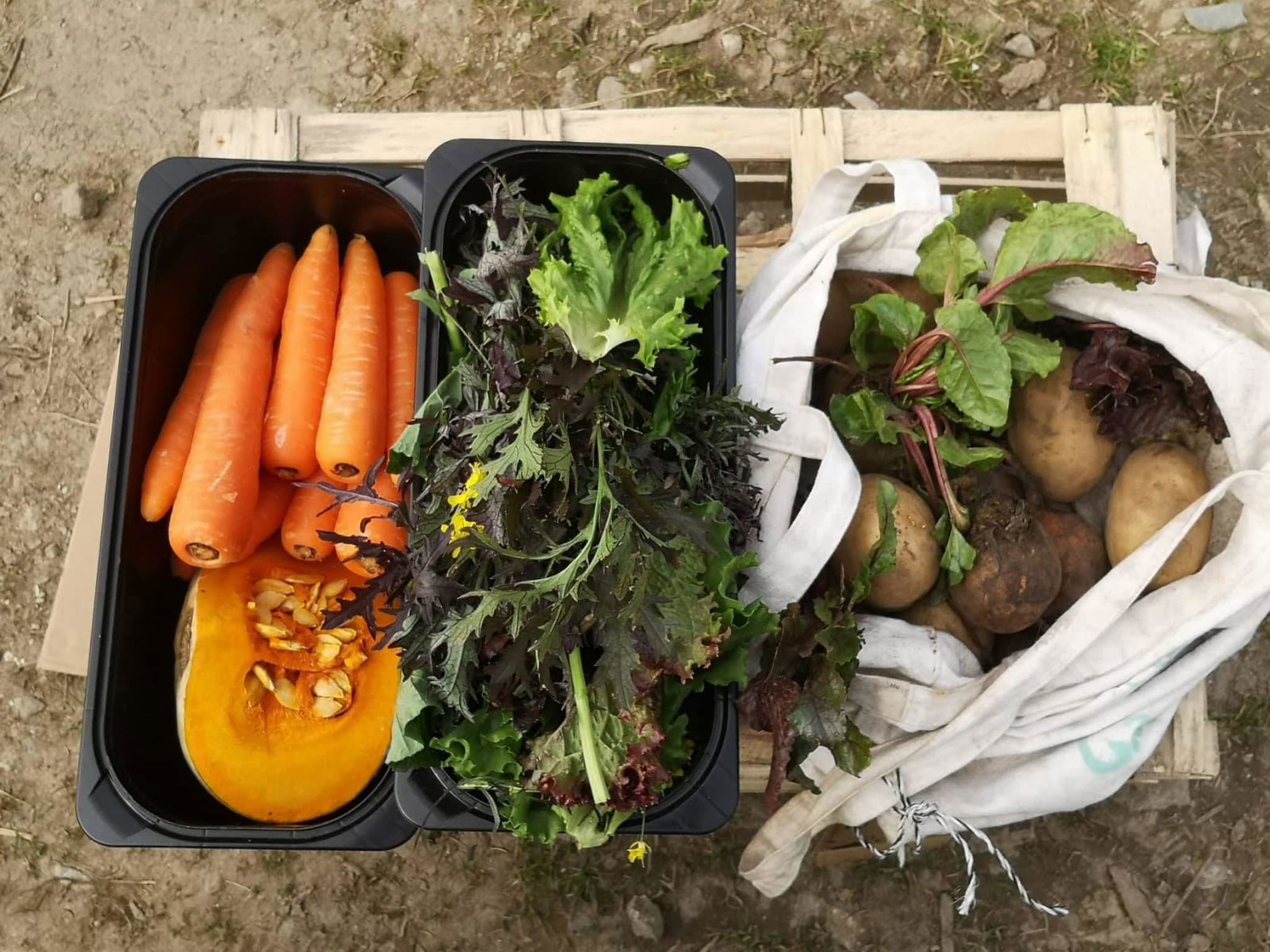 Large Veg Bag