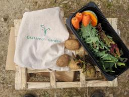 Image of Small veg bag (solidarity price)