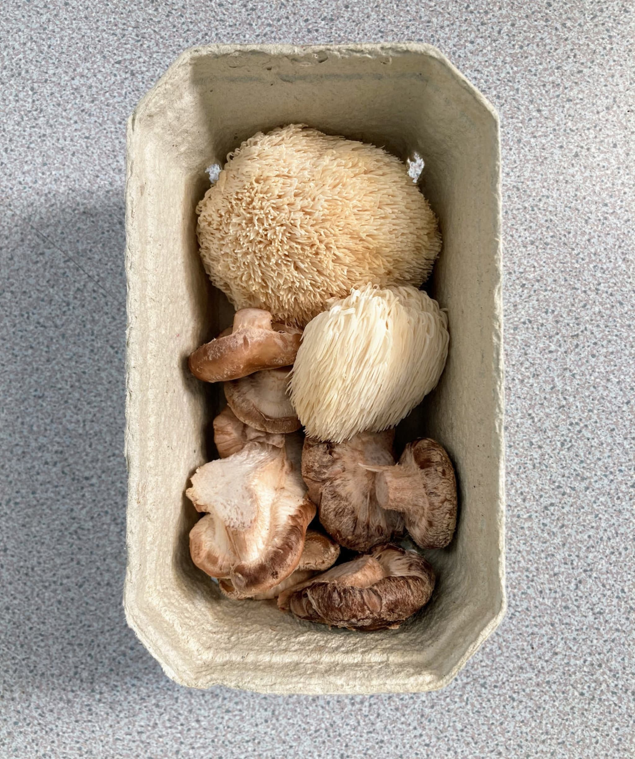 Mushrooms from Taste of the Good Life