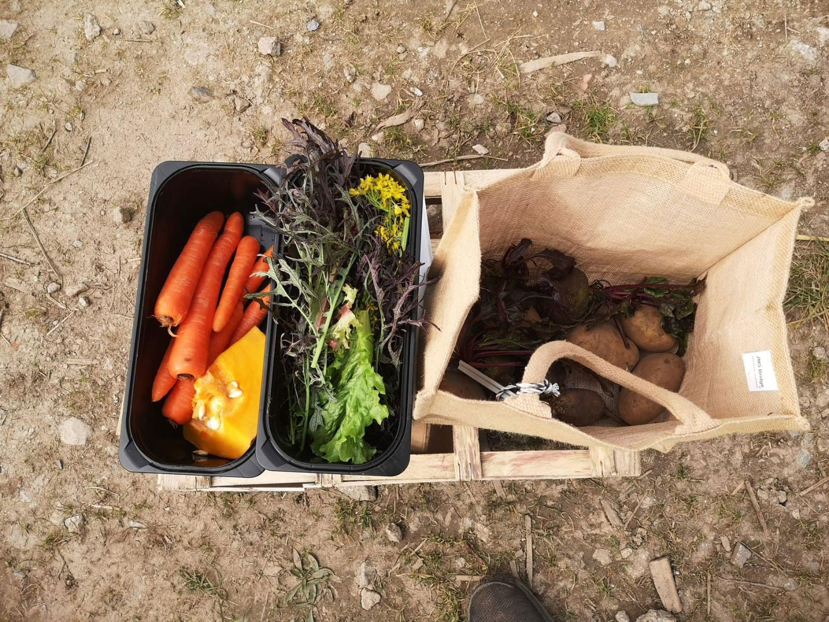 Medium Veg Bag